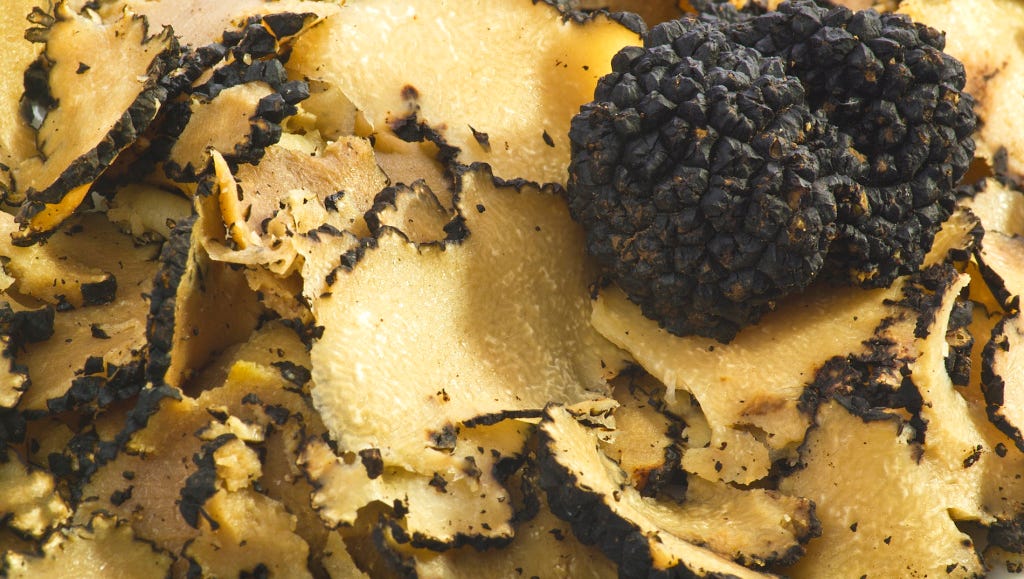 Truffle hunting in Croatia: What you need to&hellip;